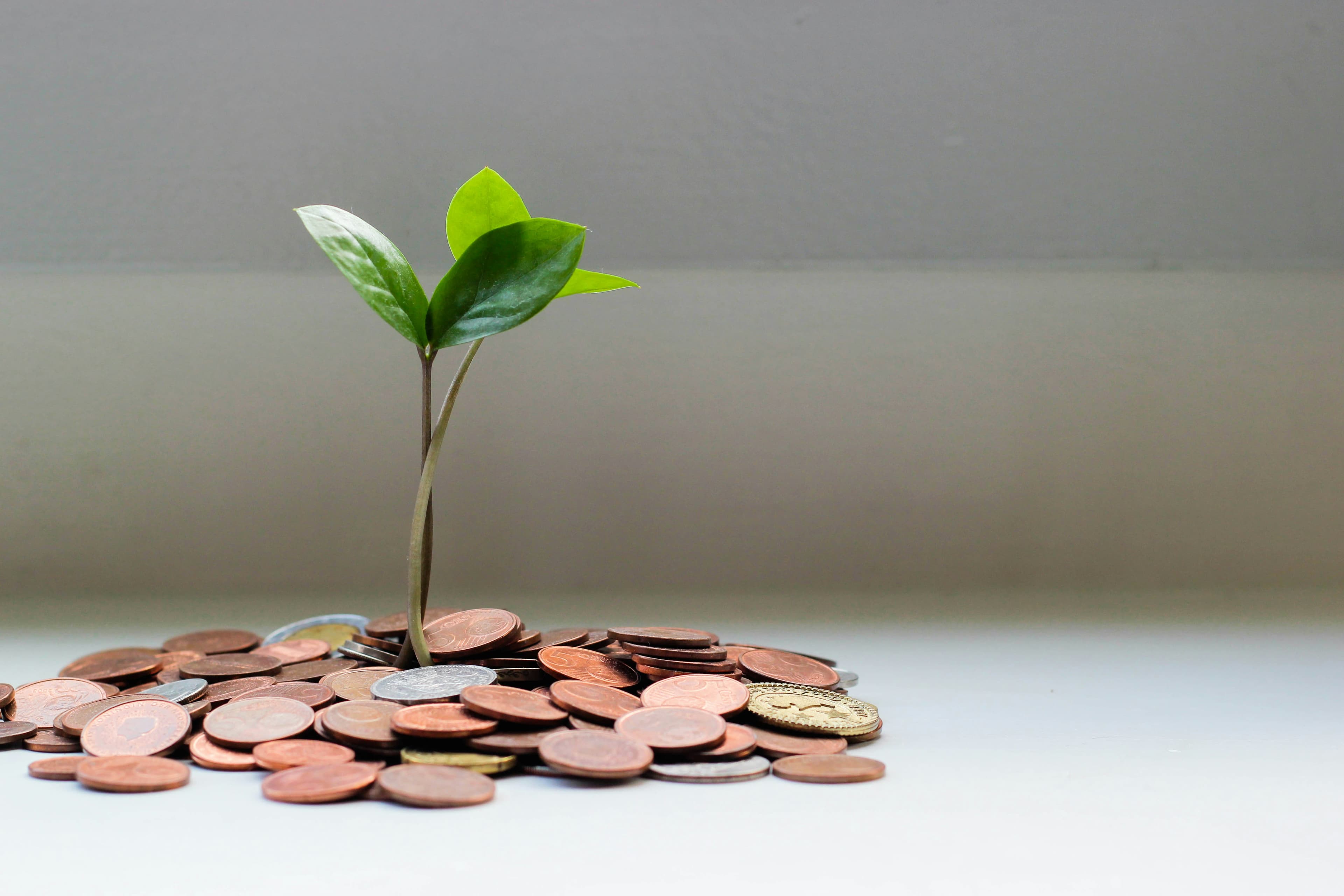 funding